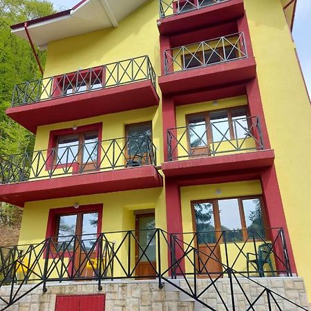 Vila Ioana Hotel Slănic-Moldova Buitenkant foto