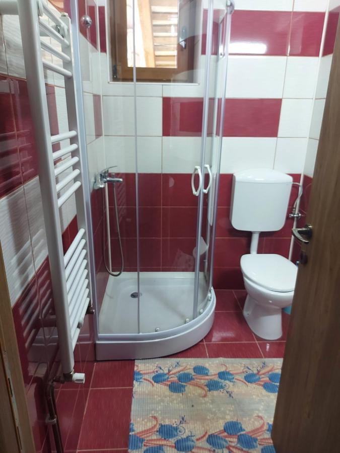 Vila Ioana Hotel Slănic-Moldova Buitenkant foto