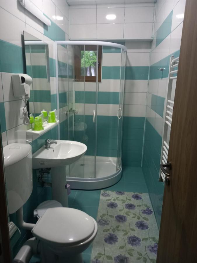 Vila Ioana Hotel Slănic-Moldova Buitenkant foto
