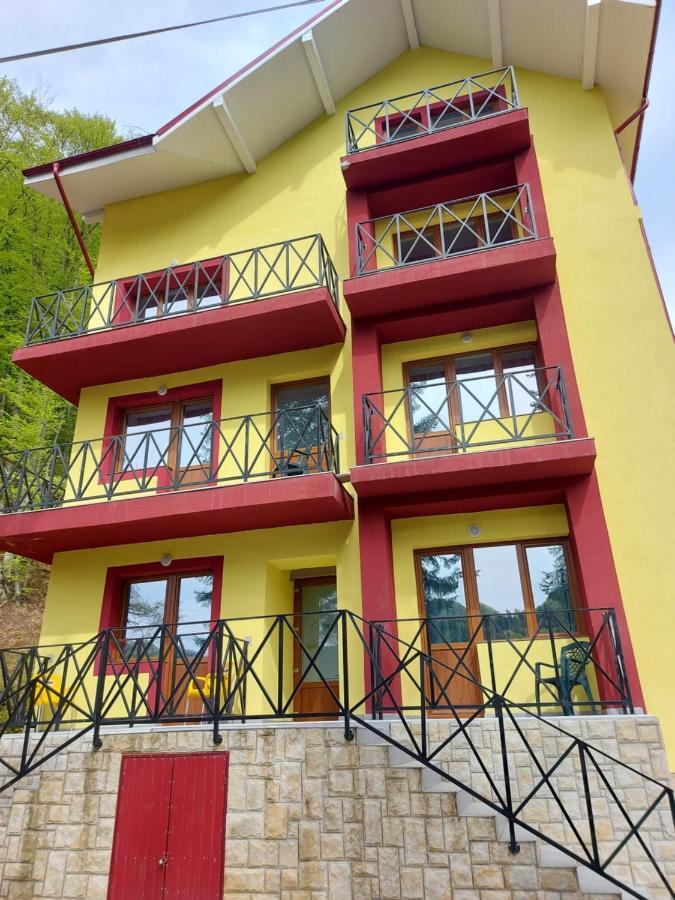 Vila Ioana Hotel Slănic-Moldova Buitenkant foto